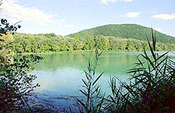 Oasi le Mortine