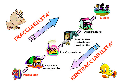 schema