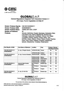 Global gap certificate